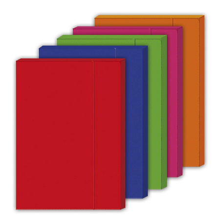 Teczka z gumką Kreska A4 Tydzień