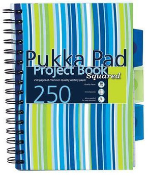 Kołozeszyt A5 w kratkę 250 stron Pukka Pad Project Book Stripes