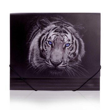 Teczka na gumkę Panta Plast Tiger A4