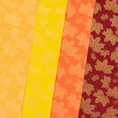 Papier ozdobny A4 Moc barw 200g Argo