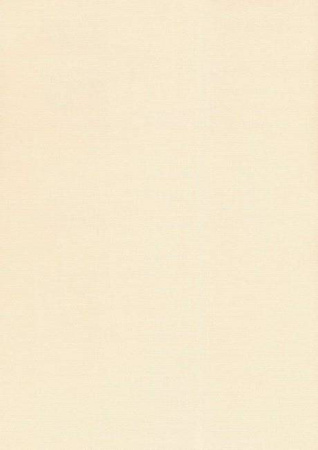 Papier wizytówkowy A4 kremowy siatka 250g W11 Kreska