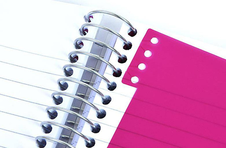 Kołonotatnik A4 150 kartek linia PP Mintra Smooth