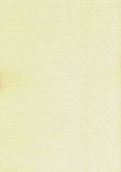 Papier wizytówkowy A4 ecru siateczka 220g W47 Kreska