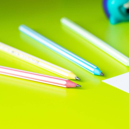 Ołówek Bic Evolution bez gumki 646 HB