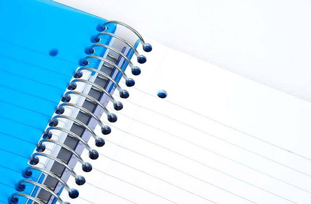 Kołonotatnik A4 150 kartek kratka Mintra Lights zielony