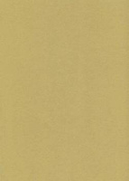 Papier wizytówkowy A4 złoty metaliczny 250g W74 Kreska