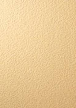 Papier wizytówkowy A4 ecru baranek 246g W60 Kreska