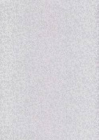 Papier wizytówkowy A4 srebrny mróz 215g W35 Kreska