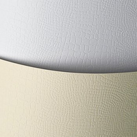 Papier wizytówkowy A4 borneo 220g Argo kremowy