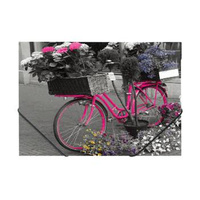 Teczka na gumkę Panta Plast Bike A4