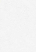 Papier wizytówkowy A4 biały tapeta 246g W04 Kreska