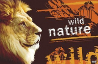 Mata na biurko dla dzieci Lew mała dwustronna Panta Plast