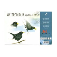 Blok do akwareli A4 300g Art Expert Kreska