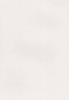 Papier wizytówkowy A4 ecru piórko 220g W27 Kreska