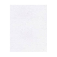 Papier wizytówkowy A4 biały skóra 246g W09 Kreska