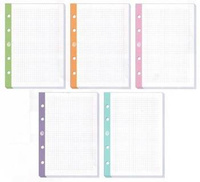 Wkład do segregatora Interdruk A4 250 kartek kratka kolorowy margines