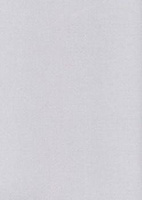 Papier wizytówkowy A4 srebrny karo 215g W55 Kreska