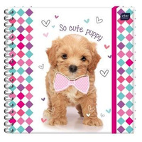 Pamiętnik na spirali Interdruk