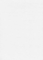 Papier wizytówkowy A4 biały skórka 246g W06 Kreska