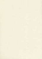 Papier wizytówkowy A4 ecru tłoczony 200g W20 Kreska