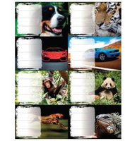 Naklejka na zeszyt Boys