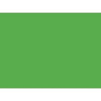 Brystol B1 zielony Kreska