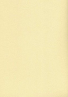 Papier wizytówkowy A4 kremowy tłoczony 200g W19 Kreska