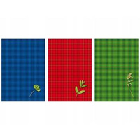 Brulion B5 160 kartek w linie Kreska