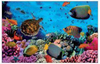 Mata na biurko dla dzieci Akwarium