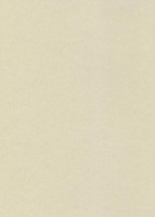 Papier wizytówkowy A4 perłowy gładki 250g W73 Kreska