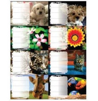 Naklejka na zeszyt Girls