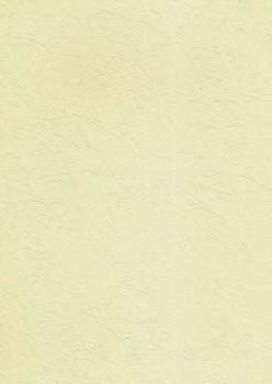 Papier wizytówkowy A4 ecru tapeta 246g W45 Kreska