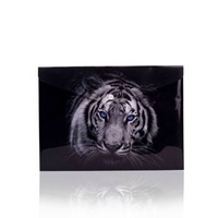 Teczka kopertowa na zatrzask Panta Plast Tiger A5