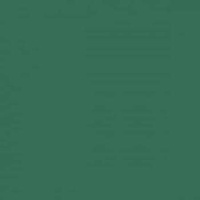 Brystol B2 zielony ciemny Kreska