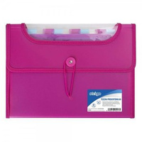 Teczka z 12 przekładkami Strigo VFile A4 PP projektowa różowy