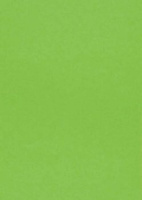 Papier wizytówkowy A4 zielony gładki 220g W40 Kreska