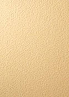 Papier wizytówkowy A4 ecru baranek 246g W60 Kreska