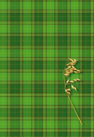 Brulion A4 160 kartek w kratkę Kreska