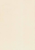 Papier wizytówkowy A4 ecru siatka 250g W10 Kreska