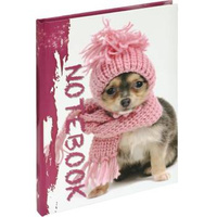 Brulion A5 96 kartek w linie Grand