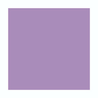 Brystol B2 fioletowy Kreska